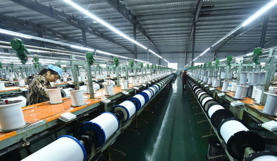 Zhejiang Donghe Printing and Dyeing Technology Co., Ltd.